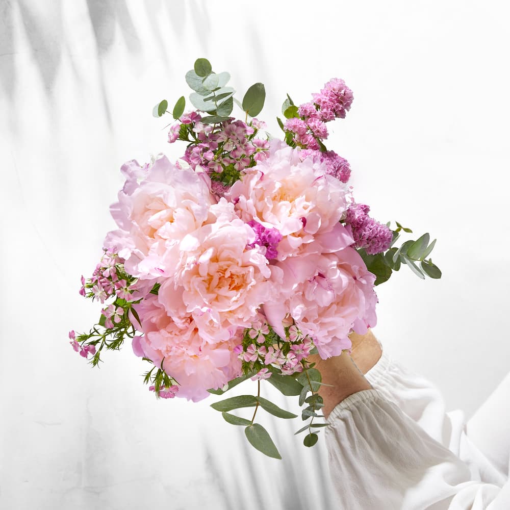 gießkanne für zimmerpflanzen edelstahl Gießkanne aus Edelstahl 1 L Poliert Gießer Blumengießkanne Bewässerung main image 0