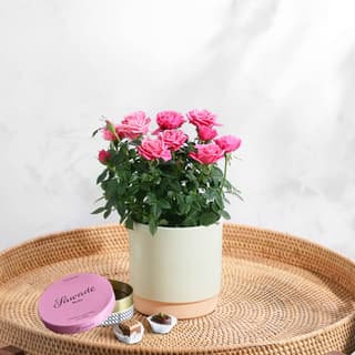 Geschenkset